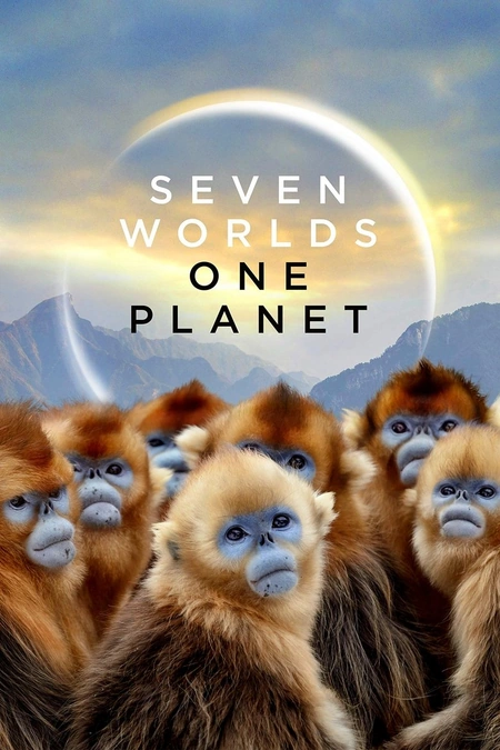 七个世界，一个星球海报