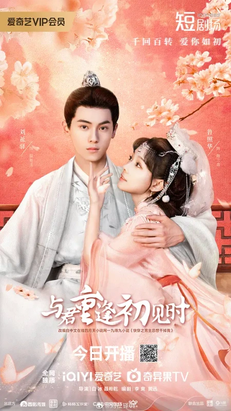 与君重逢初见时海报