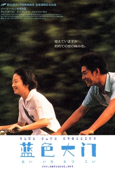蓝色大门海报