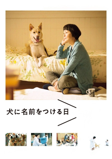 为你取名的那一天 犬に名前をつける日海报