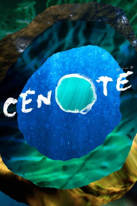 沉洞泉海报